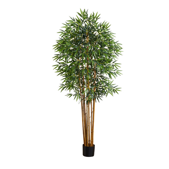 6' Fancy Style Bamboo Silk Tree
