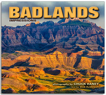Badlands Impressions