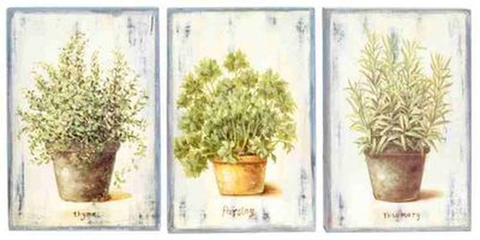Hand Painted Herbs Wall Decor