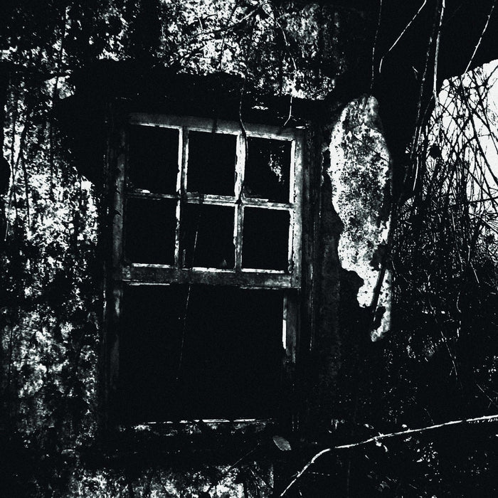 Eerified Catacomb- split LP black vinyl