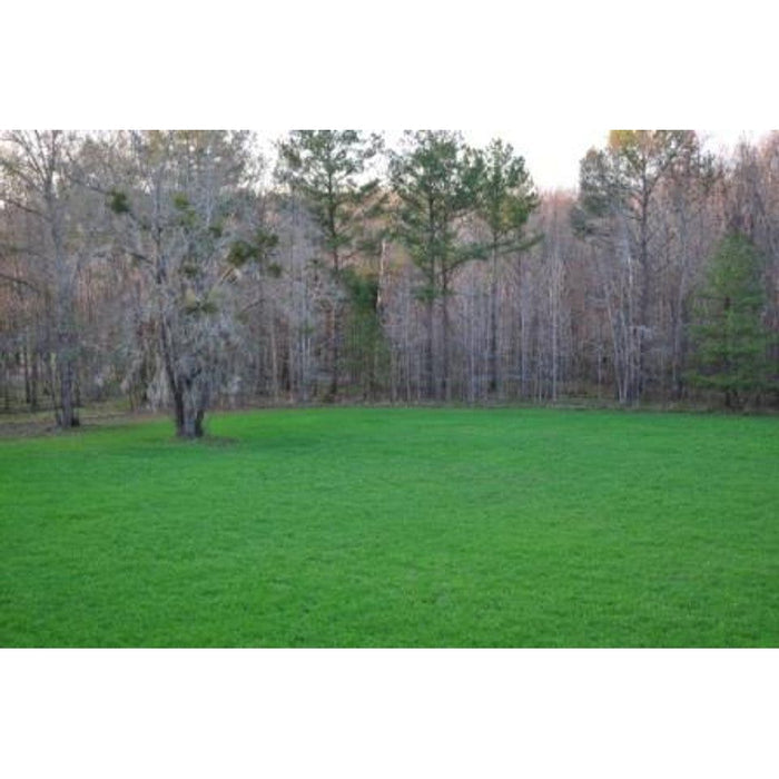 Imperial Whitetail Oats Plus Triticale - 45 Lbs. (0.5 acre) - Seed World