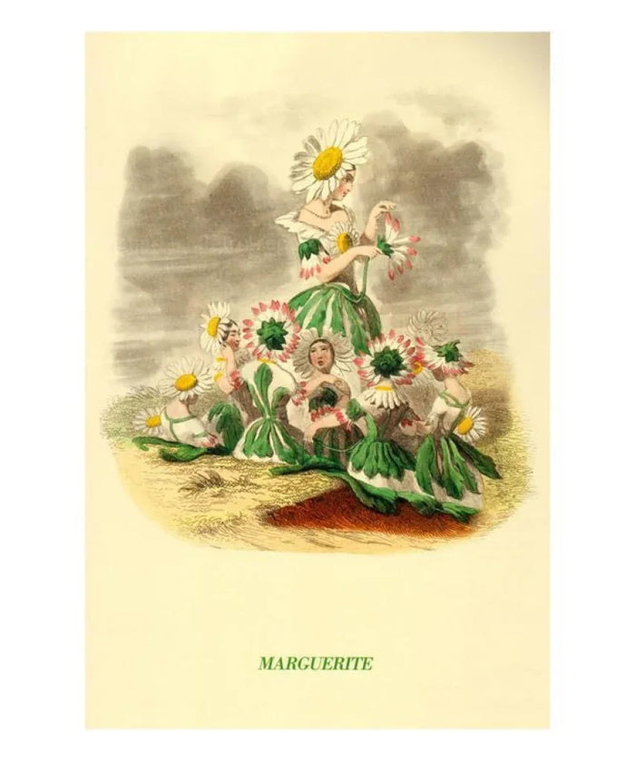 Marguerite - VINTAGEARTREPRINTS.COM