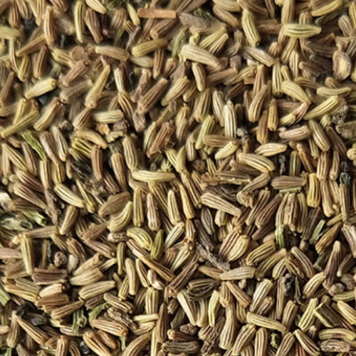 Mauranthemum Paludosum $ Creeping Daisy Seeds