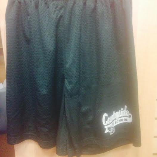 Mesh Shorts