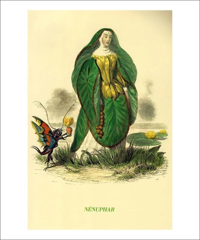 Nenuphar - VINTAGEARTREPRINTS.COM