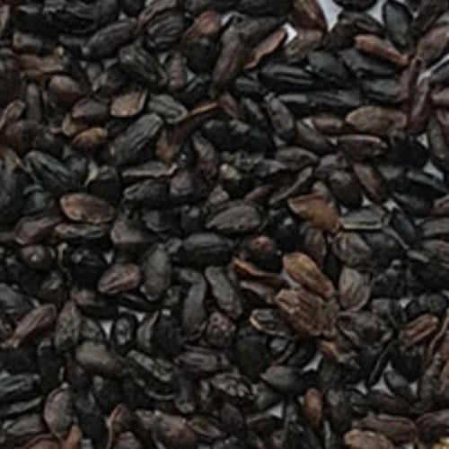 Platycodon Grandiflorus & Balloon Flower Seeds