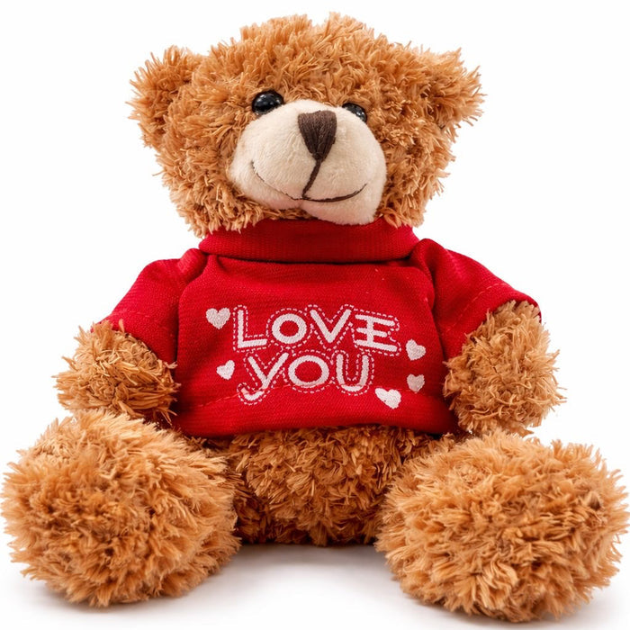 Plush Teddy Brown
