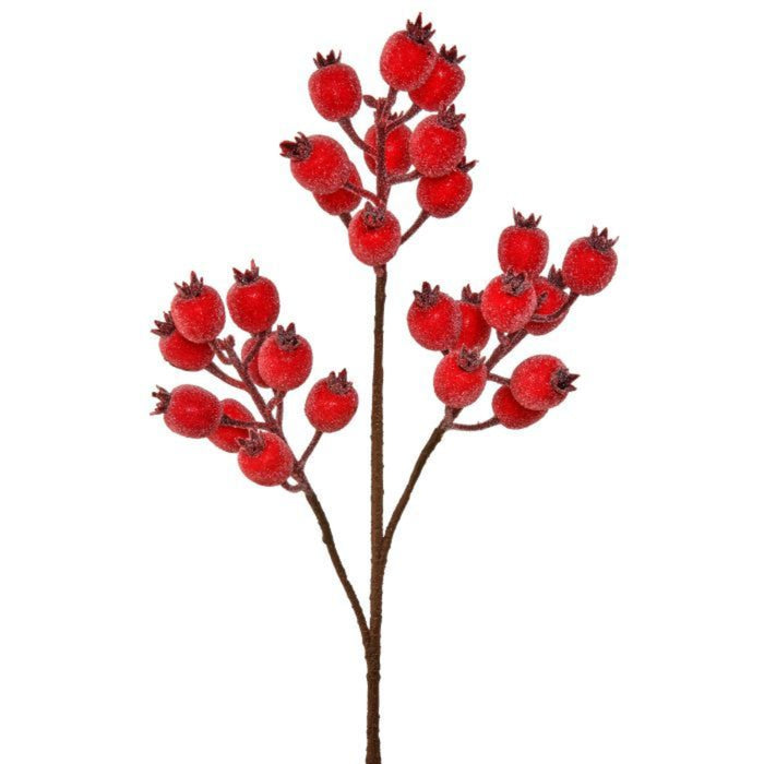 Red Icy Pomegranate Berry Spray