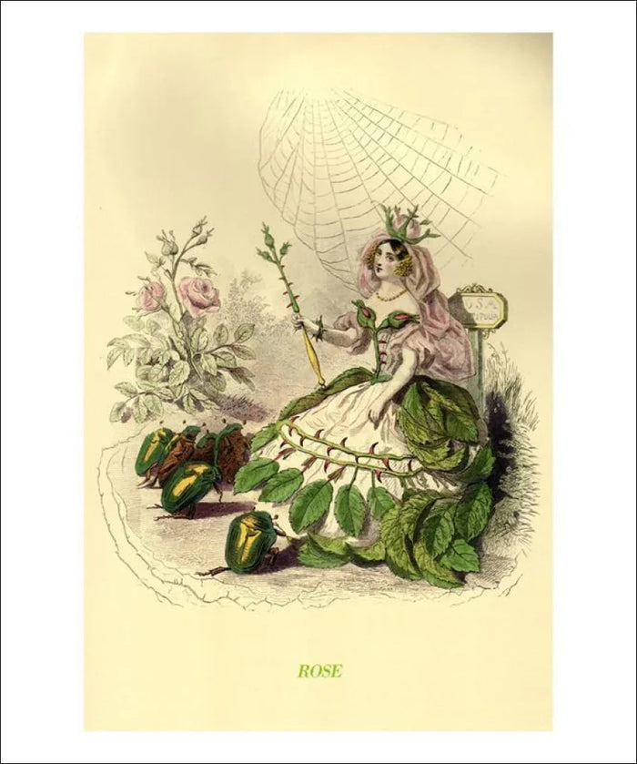 Rose - VINTAGEARTREPRINTS.COM
