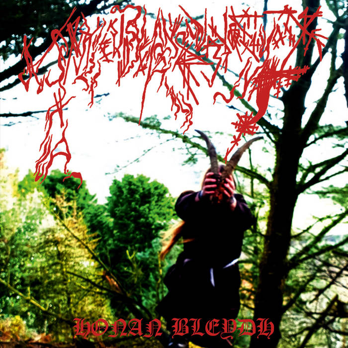 Ynkleudherhenavogyon - Honan Bleydh LP