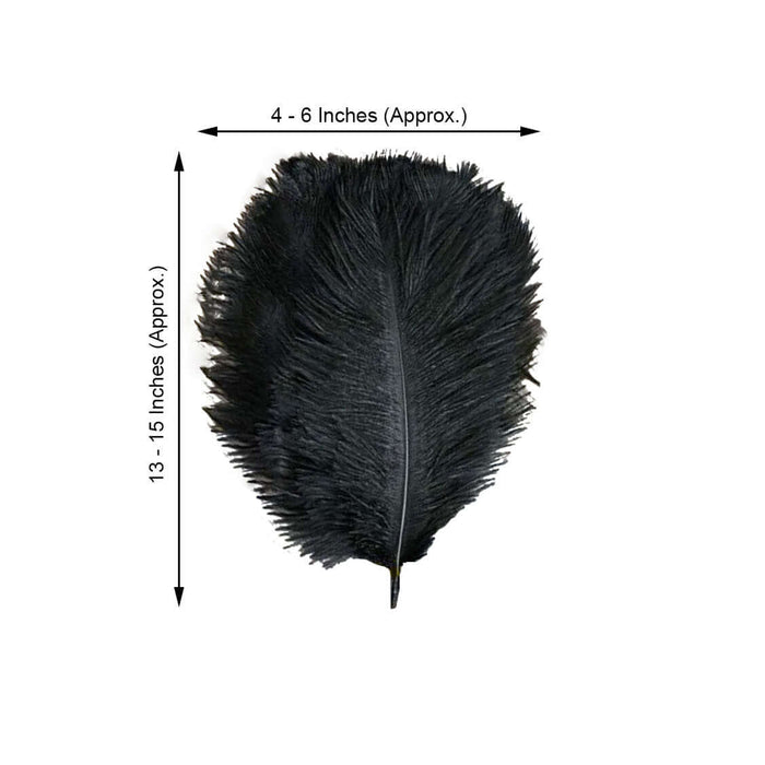 Black feather measuring 4-6 inches wide and 13-15 inches long