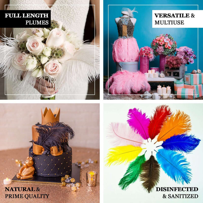 Colorful feathers and floral arrangements for versatile decor and crafting.