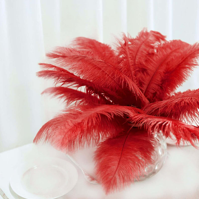 Red feather arrangement in a glass vase on a white surface.