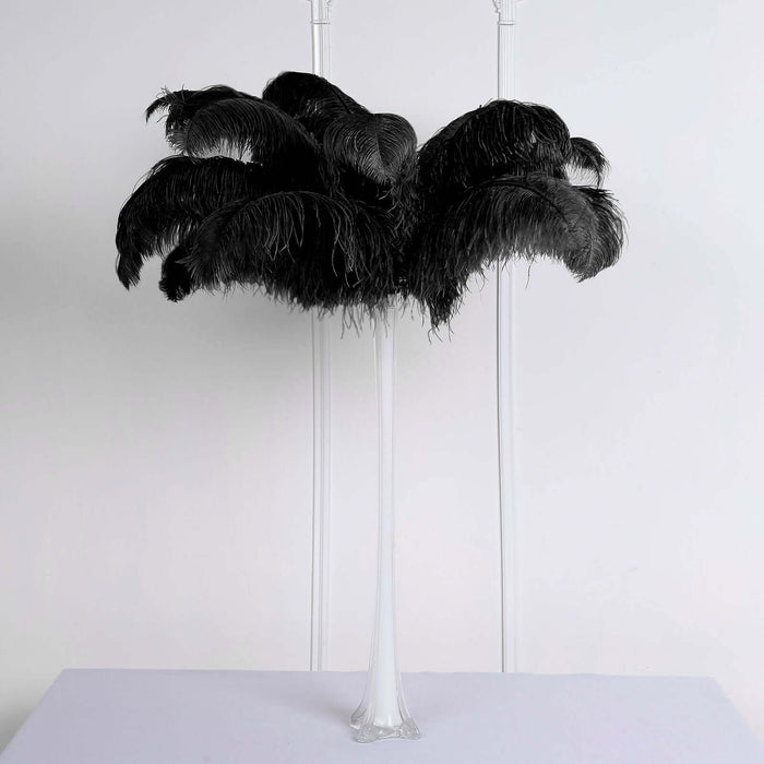 Black feather tabletop decoration on a transparent base