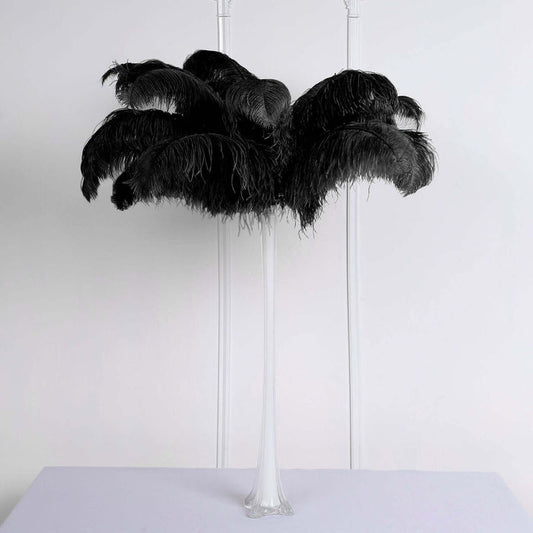 Black feather tabletop decoration on a transparent base