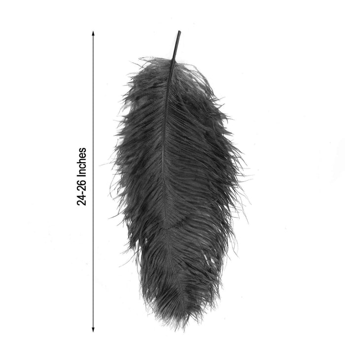 Black feather measuring 24-26 inches in length on a plain background
