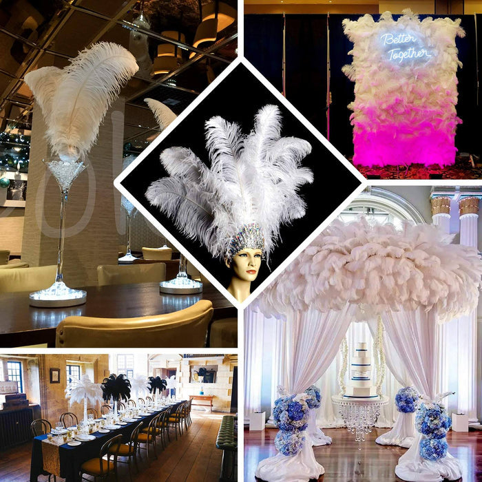 Decorative white feather arrangements for events and celebrations.