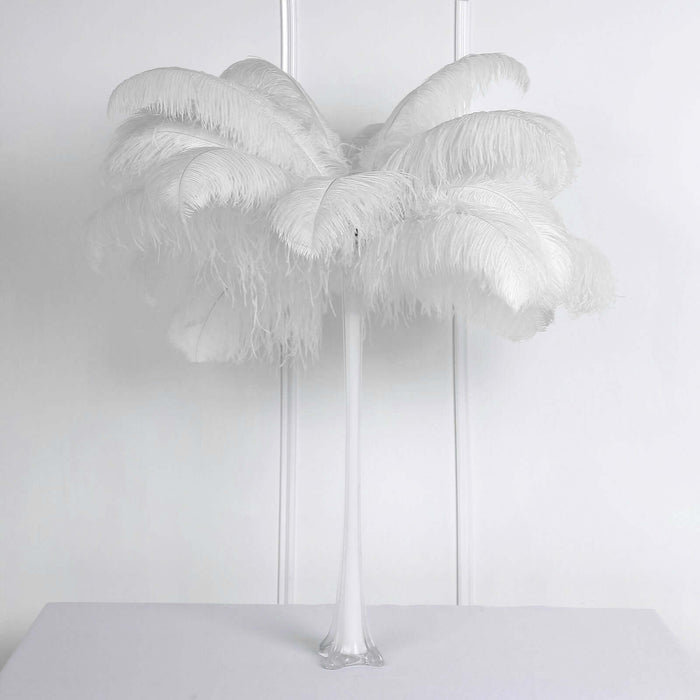 White feather palm tree decoration in studio isolation.