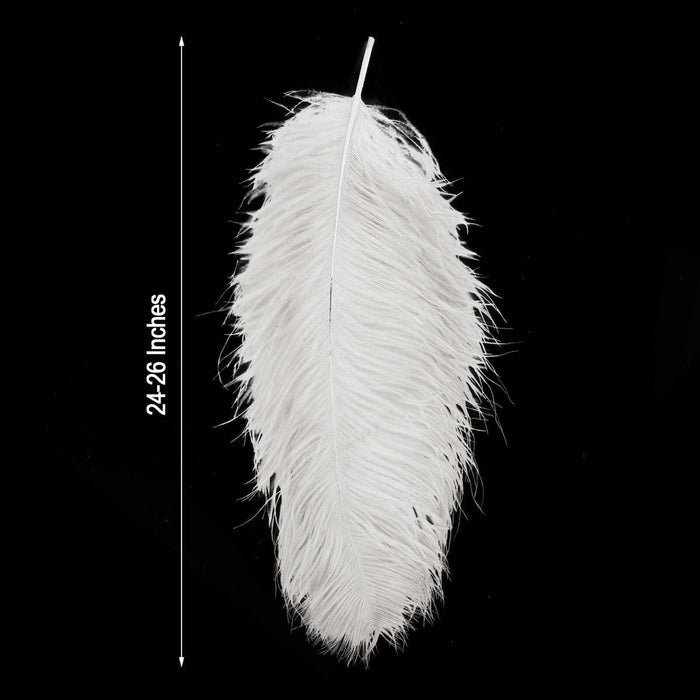 White feather measuring 24-26 inches, showcased on a black background.