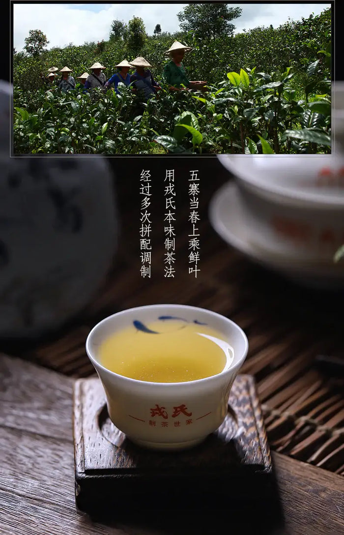 2021 MengKu RongShi Bing Dao - Wang Zi (Bingdao - Prince) Cake 100g - 357g Puerh - photo 3