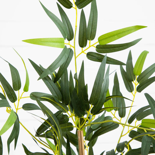 3' Multi Bambusa Bamboo Silk Tree