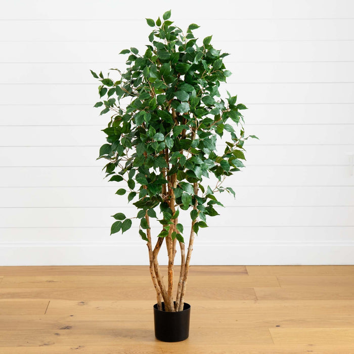 5' Ficus Bushy Silk Tree
