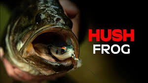 6th Sense Vega Hush Frog