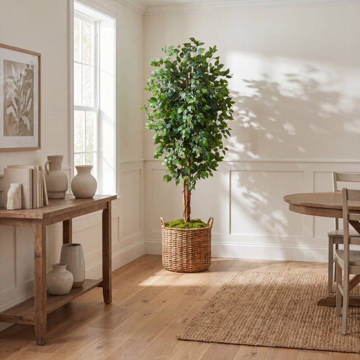 7' Ficus Silk Tree