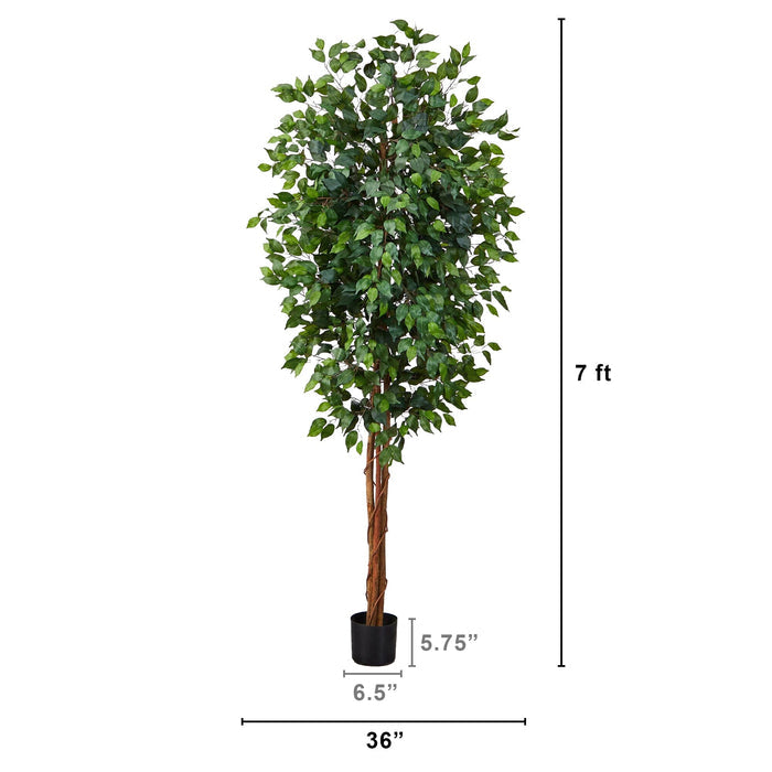 7' Ficus Silk Tree