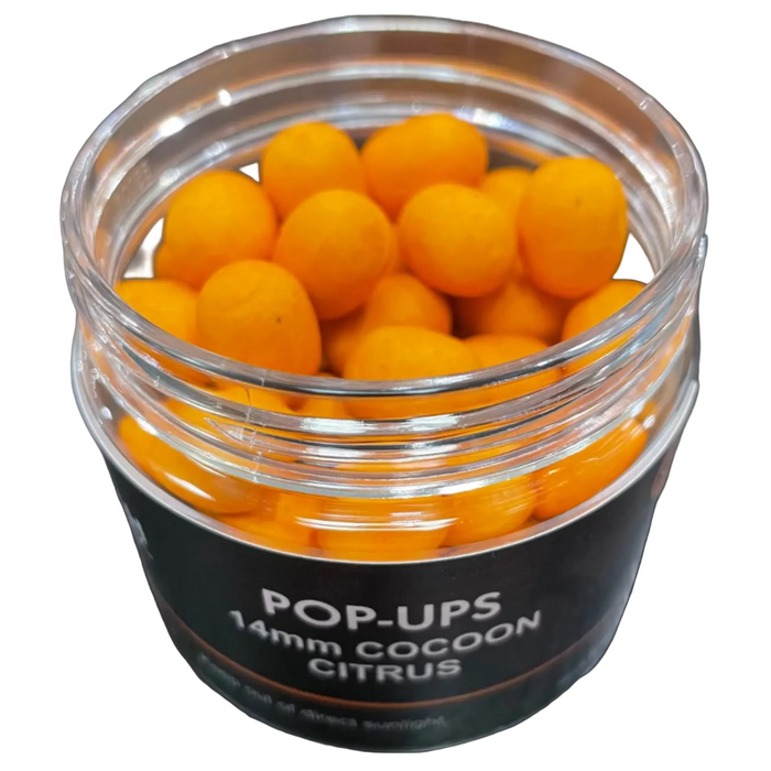 Fish Clinic Pop Ups
