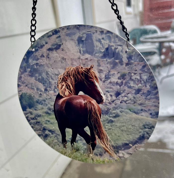Chasing Horses Sun Catchers