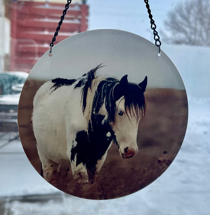 Colt Boomer #2 (circle)