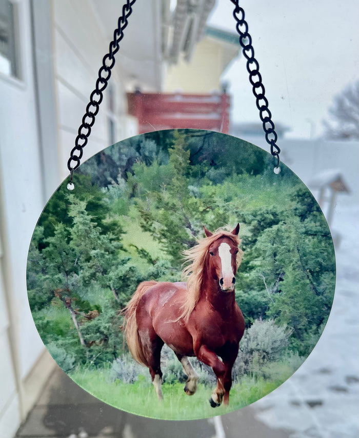 Stallion Flax #1 (circle)