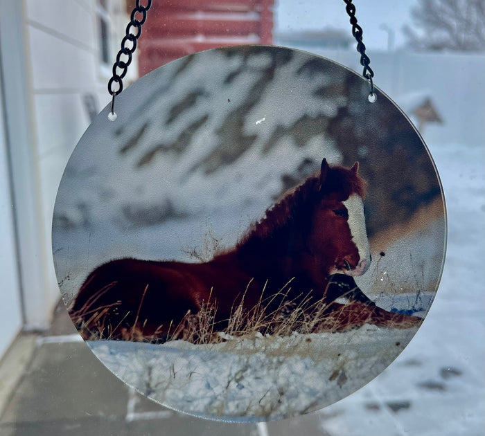 Chasing Horses Sun Catchers