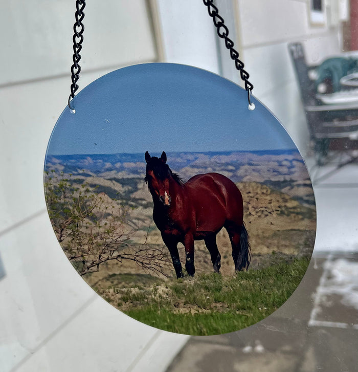 Chasing Horses Sun Catchers