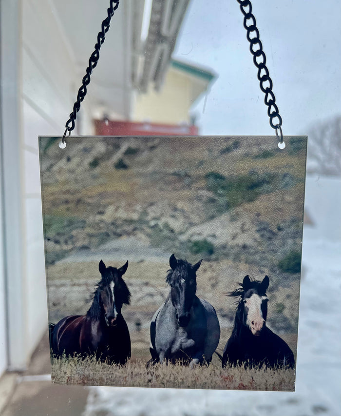 Mare Esprit Faith and Daisy (square)
