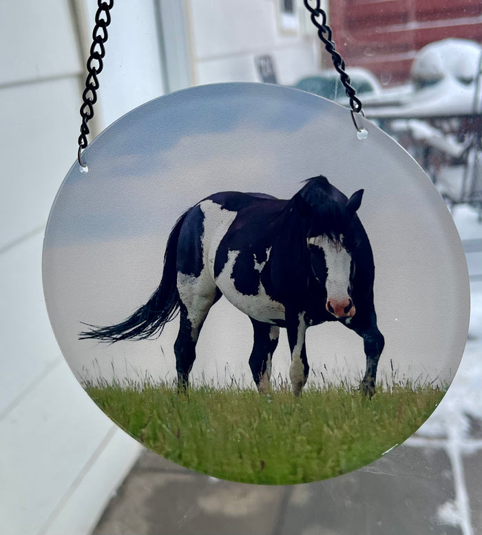 Chasing Horses Sun Catchers
