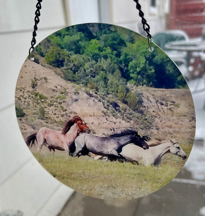 Chasing Horses Sun Catchers