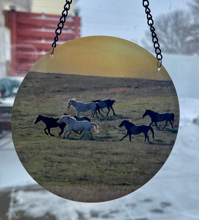 Chasing Horses Sun Catchers