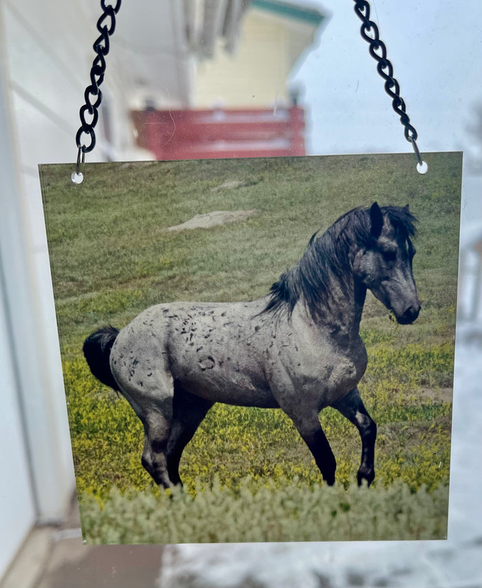 Stallion Sidekick (square)