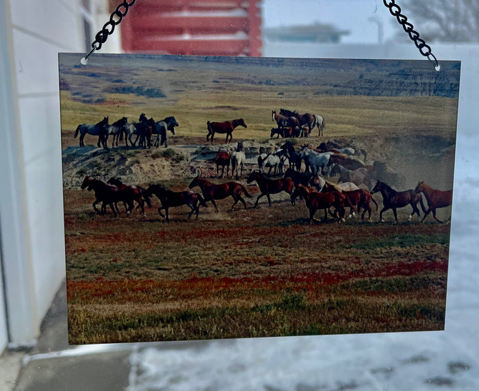 Horses on the Flats (rectangle)