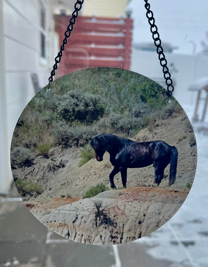 Stallion Remington (circle)