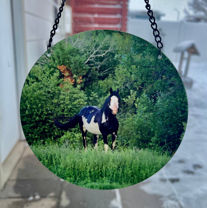 Stallion Circus (circle)