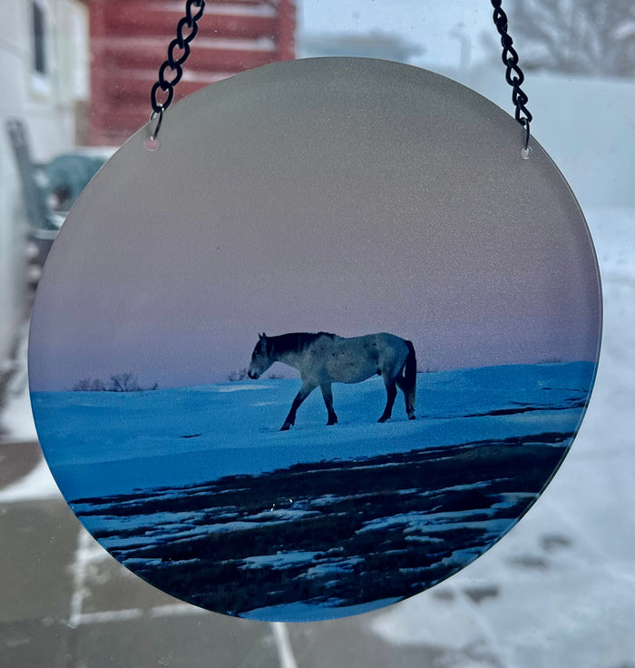 Chasing Horses Sun Catchers