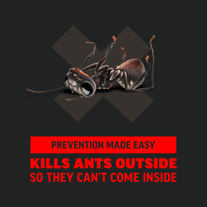 Amdro Ant Block Home Perimeter Ant Bait (granules) - 24 oz - Seed World