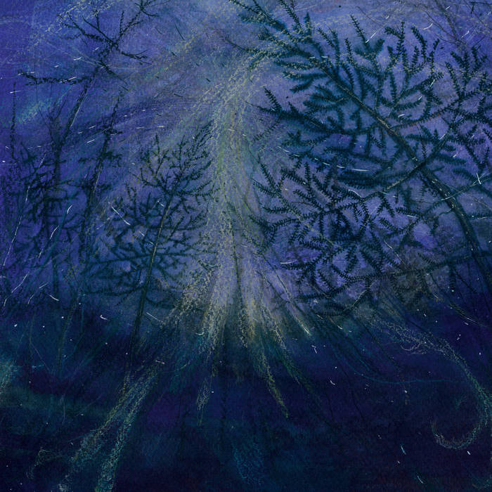 Amor Fati Productions- Back Catalogue Picker LP Tetrasigil- Forest Storm LP