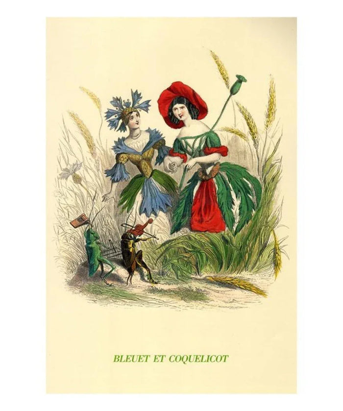 Bleuets et Coquelicots, 1846 - VINTAGEARTREPRINTS.COM