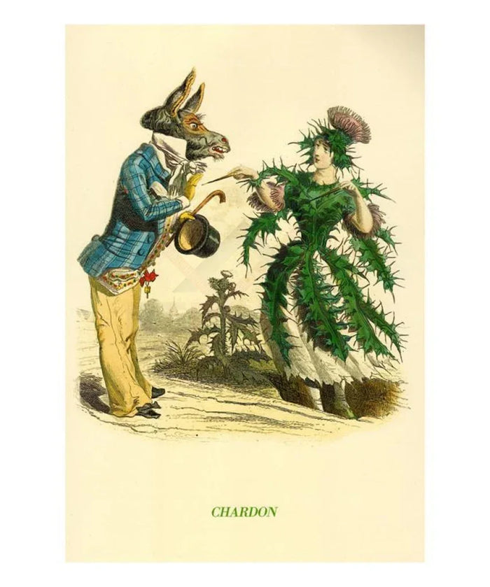 Chardon, Animated Flower - VINTAGEARTREPRINTS.COM