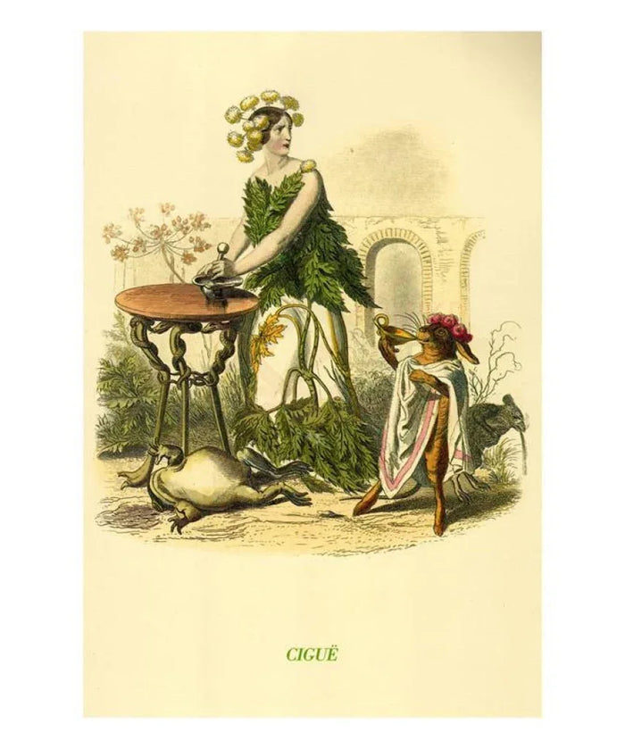 Cigue - VINTAGEARTREPRINTS.COM