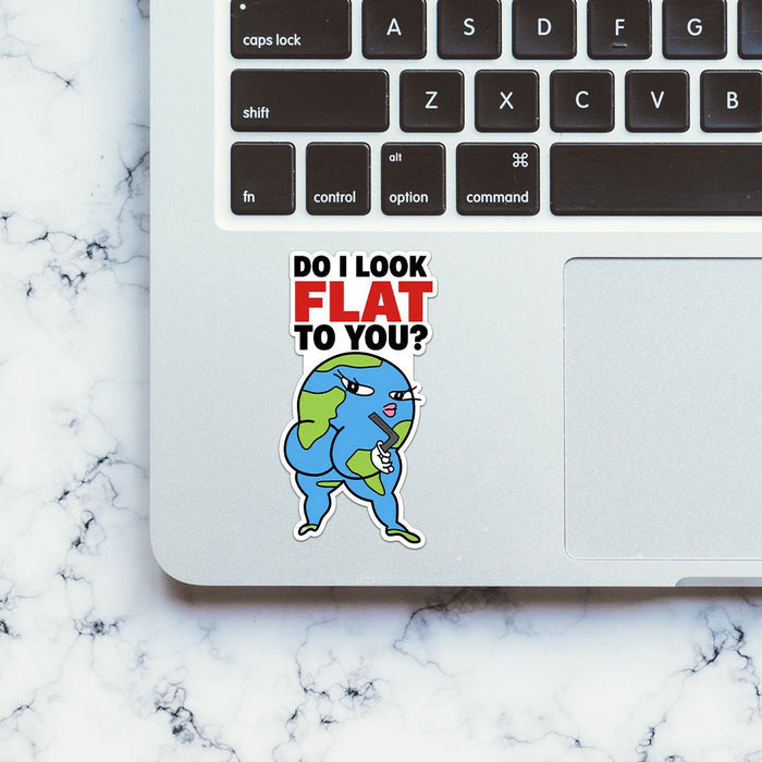 Do I Look Flat to You Sticker - Stickers | STICK IT UP